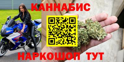 стаф Будённовск
