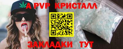 стаф Будённовск