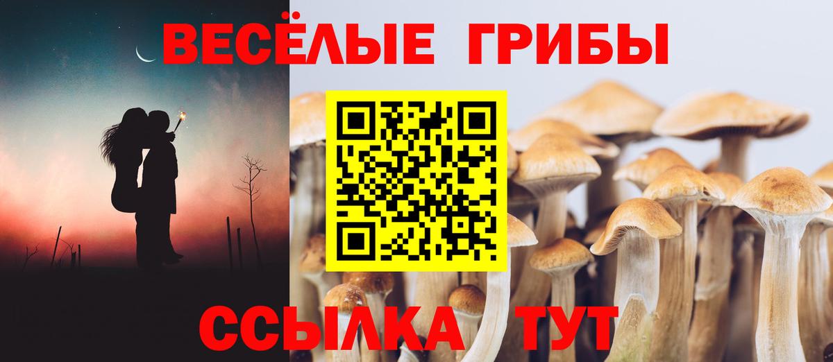 Галлюциногенные грибы MAGIC MUSHROOMS  Вход с VPN  где найти   Псилоцибиновые грибы MAGIC MUSHROOMS  Череповец 